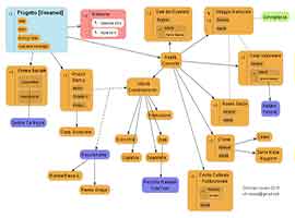 Mappe concettuali riassuntive 